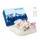 Pink Silver-Exclusive Shoe Box-Includes Socks