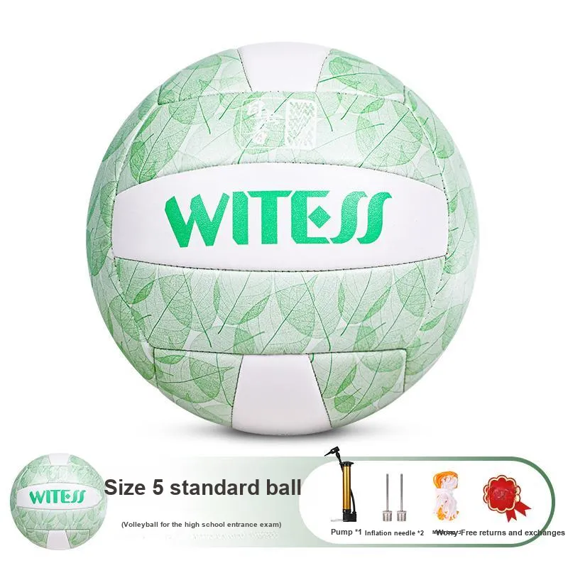 WITESS Volleyball-17