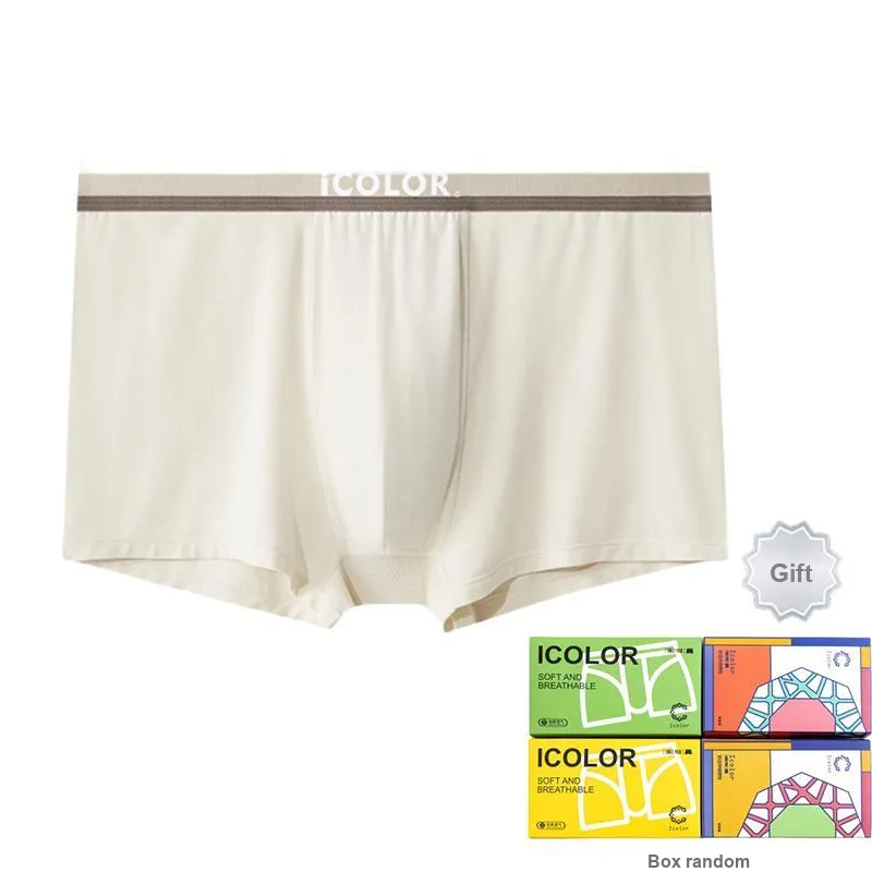 Icolor Men Underpants-3