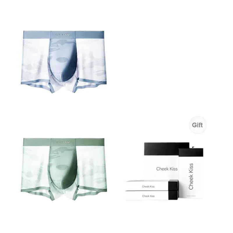 Cheekkiss Underpants Men's Box 4 Pack-40