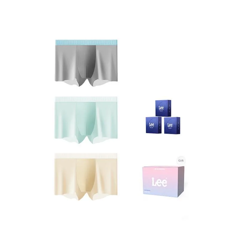Lee Underpants Men's Box 3 Pack-2