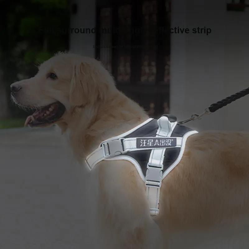 Hippie dogs Leashes-1