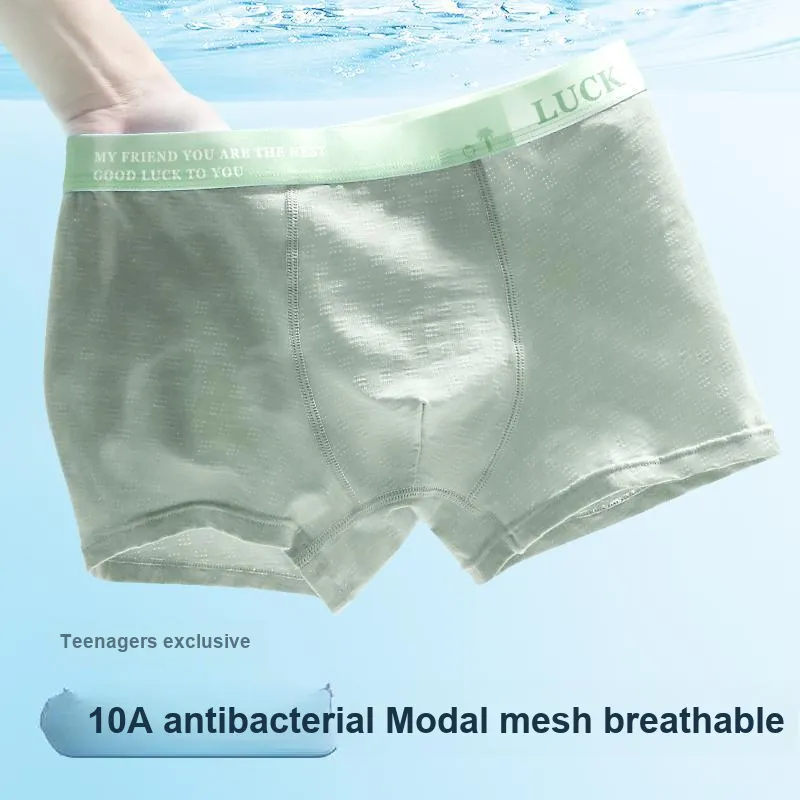 Herbal Primer Underpants Men's 4 Pack-1