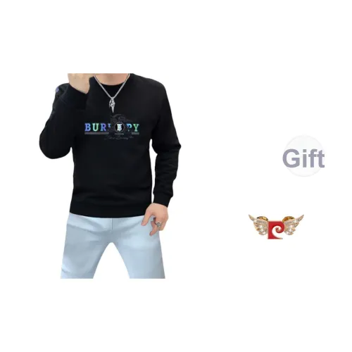 PIERRE CARDIN Мужские Свитшоты