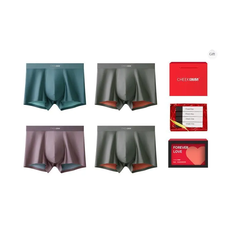Cheekkiss Underwear Gift Box Men's Box 4 Pack-3