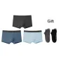 Men's Underpants 3 Pack (Dove Feather Gray+Smoke Blue+Cobalt Blue)