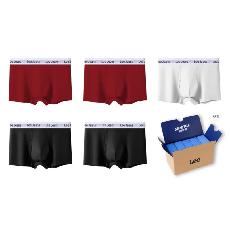 Lee Underpants Men's 5 Pack Gift Box Set-40
