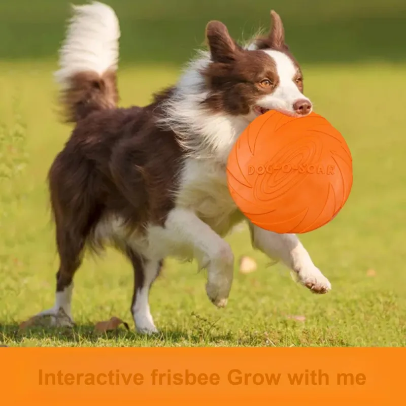 Kimpets Pet Toys-2