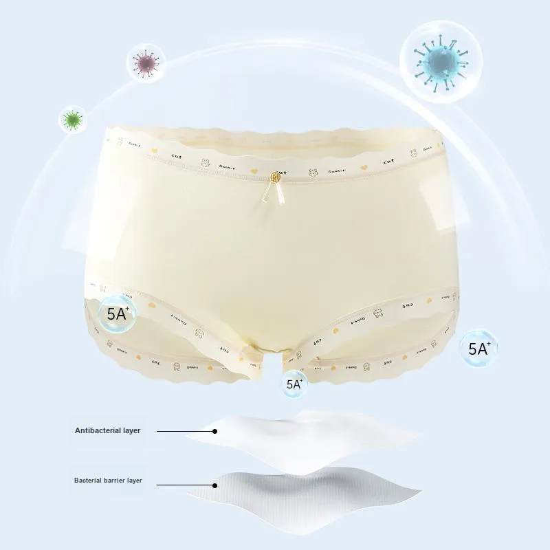 FENTENG Underpants Women's 4 Pack-4