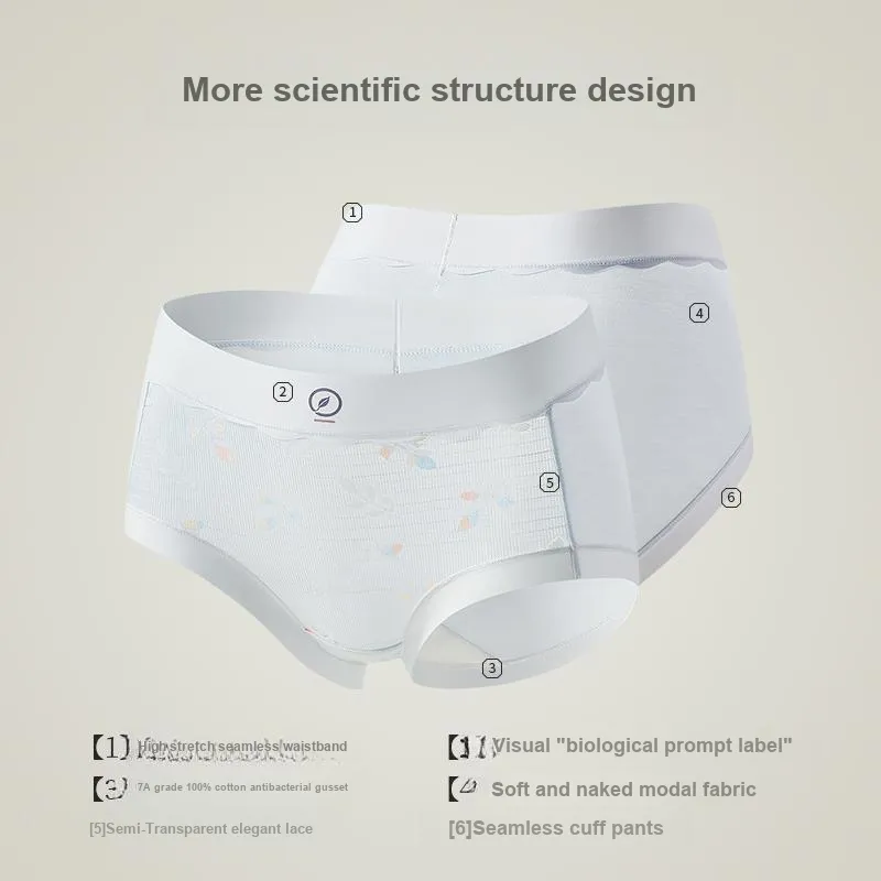 MIIOW Underpants Women's 4 Pack-5