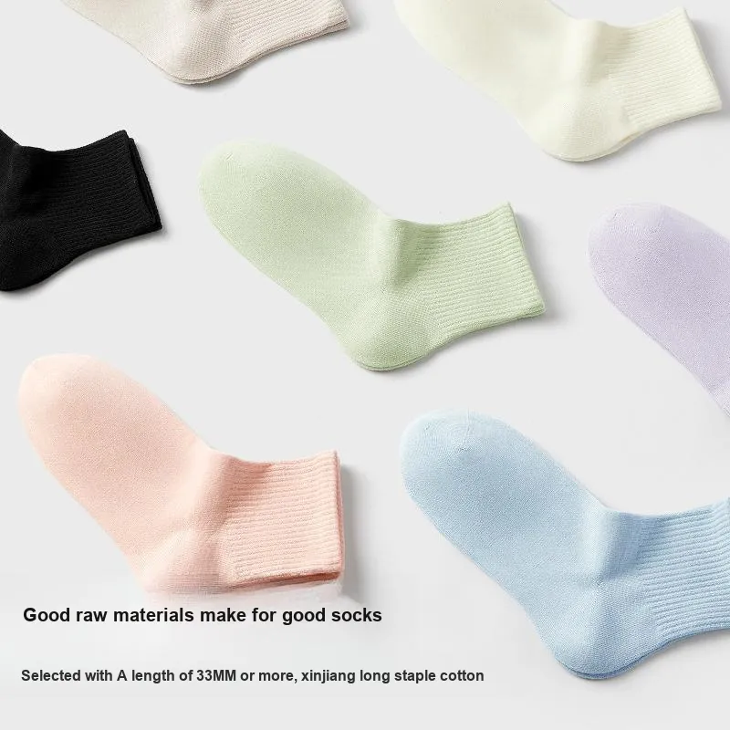 B&C.Room Ankle Socks Women's 5 Pack-2