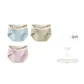 3F Sky Blue+Hazy Green+Soft Purple