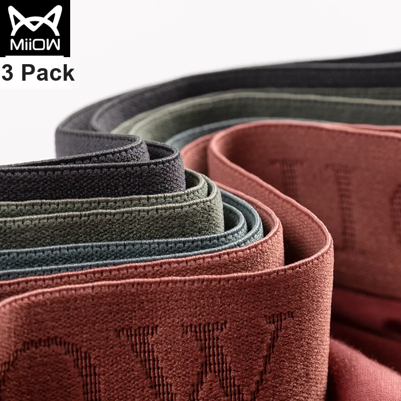 MIIOW Men Underpants-38