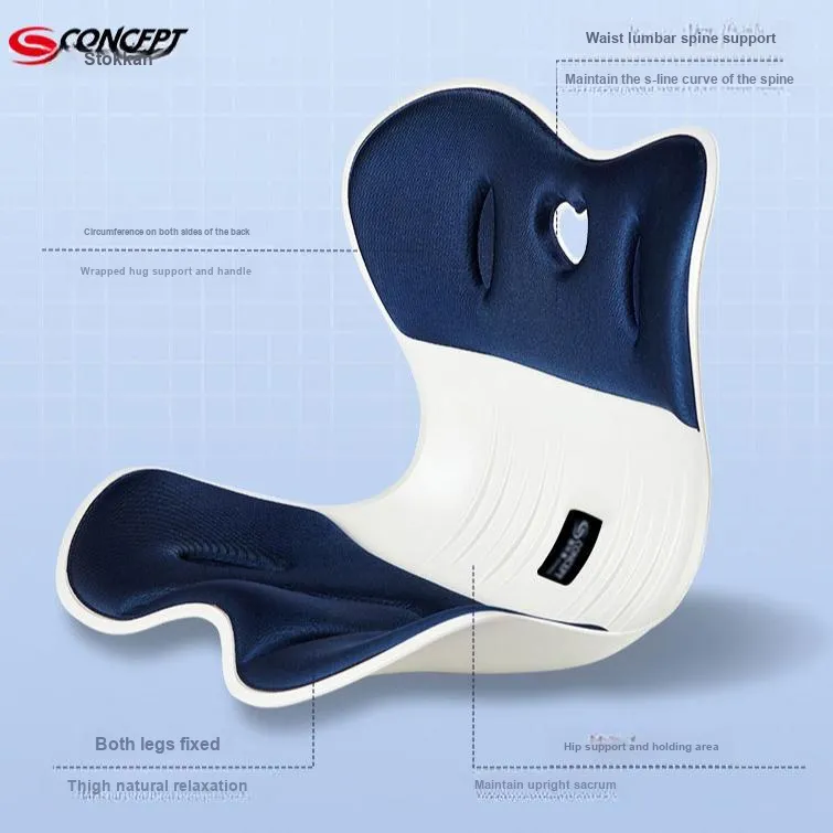 SCONCEPT Back Support Braces-1