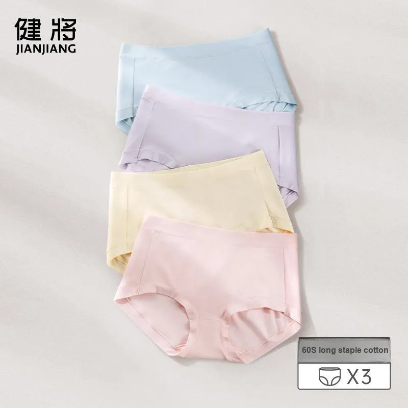 Master Underpants Women's 3 Pack-2