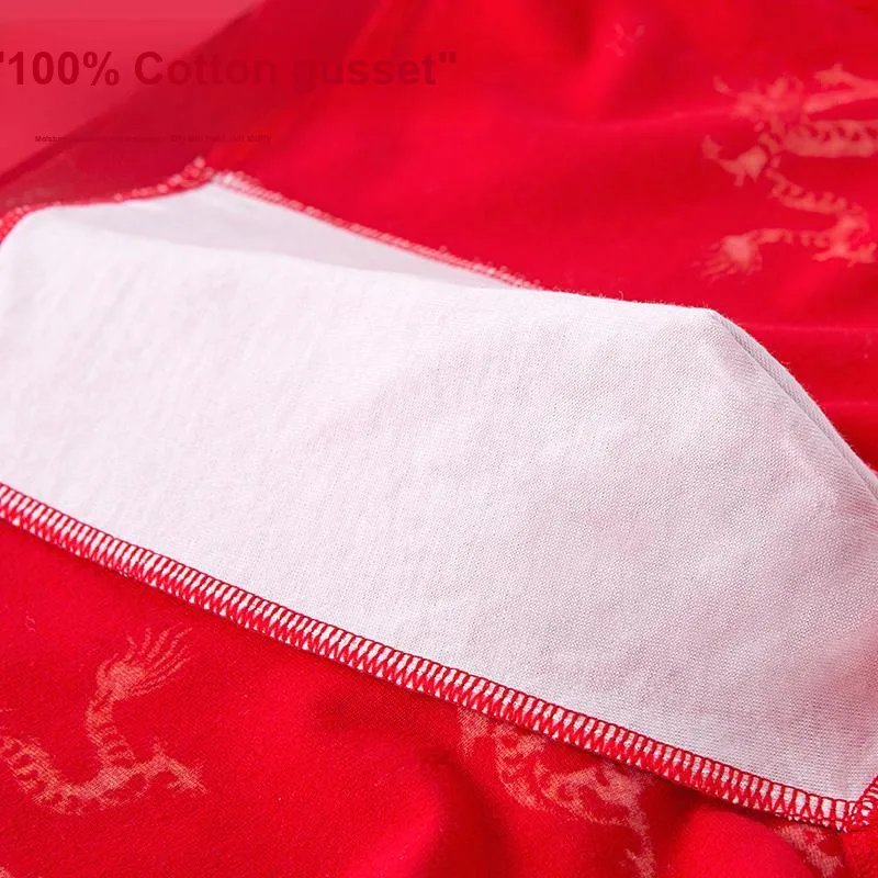 Lanza Men Underpants-16