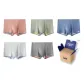 Charcoal Orange+Light Green+Light Blue+White Gray+Light Gray (Box 5 Pack)