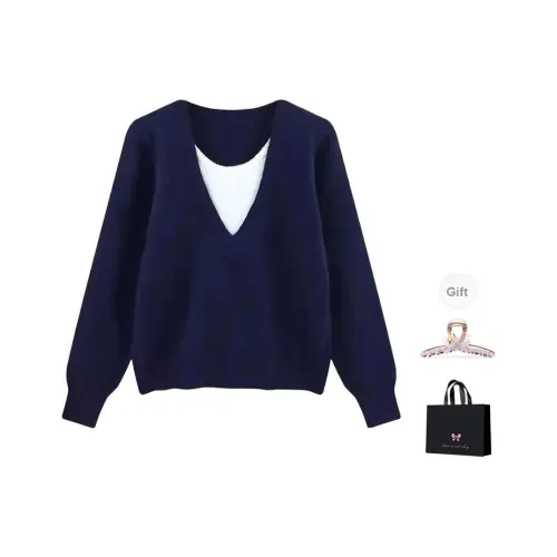 Aimilian Темно-синие женские свитеры