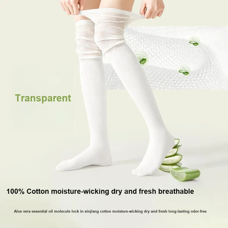B&C.Room Thigh high Socks Women's 2 Pack-2