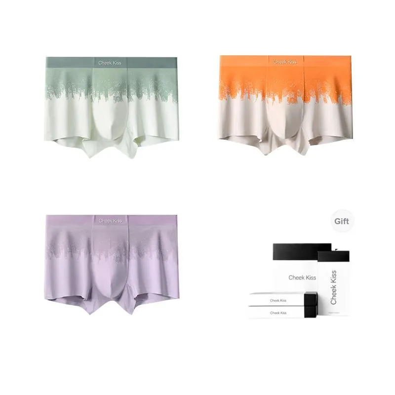Cheekkiss Underwear Gift Boxes Men's 3 Pack-3