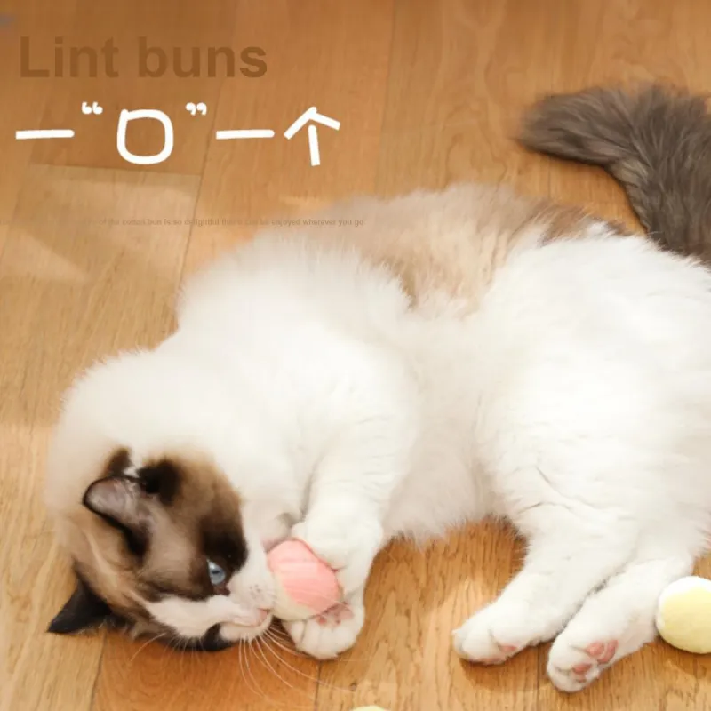 Kimpets Pet Toys-5