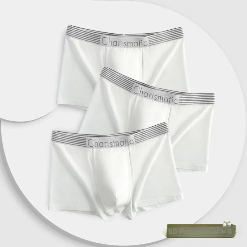 LUYOUYE Underpants Men's 3 Pack-5