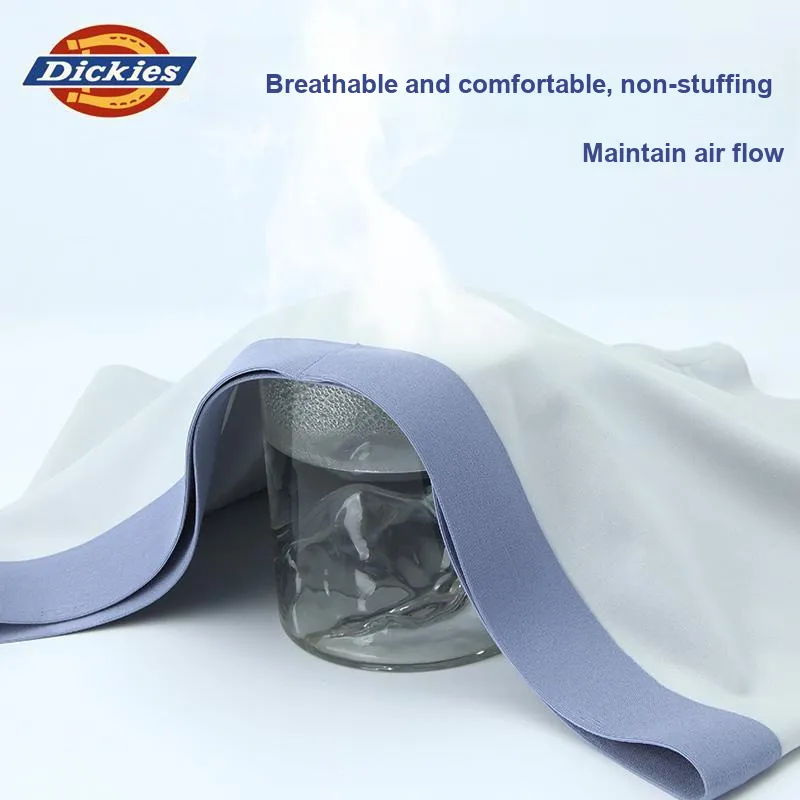 Dickies Underpants Men's Box 3 Pack-4