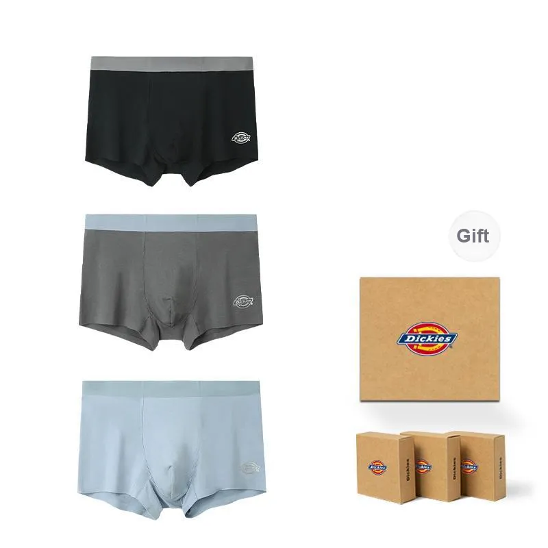 Dickies Underpants Men's Modal Cotton Premium Flat Box Combo Set-9