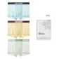 Mint Green+Ocean Blue+Dynamic Yellow