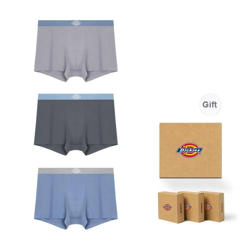 Dickies Underpants Men's Box 3 Pack-52