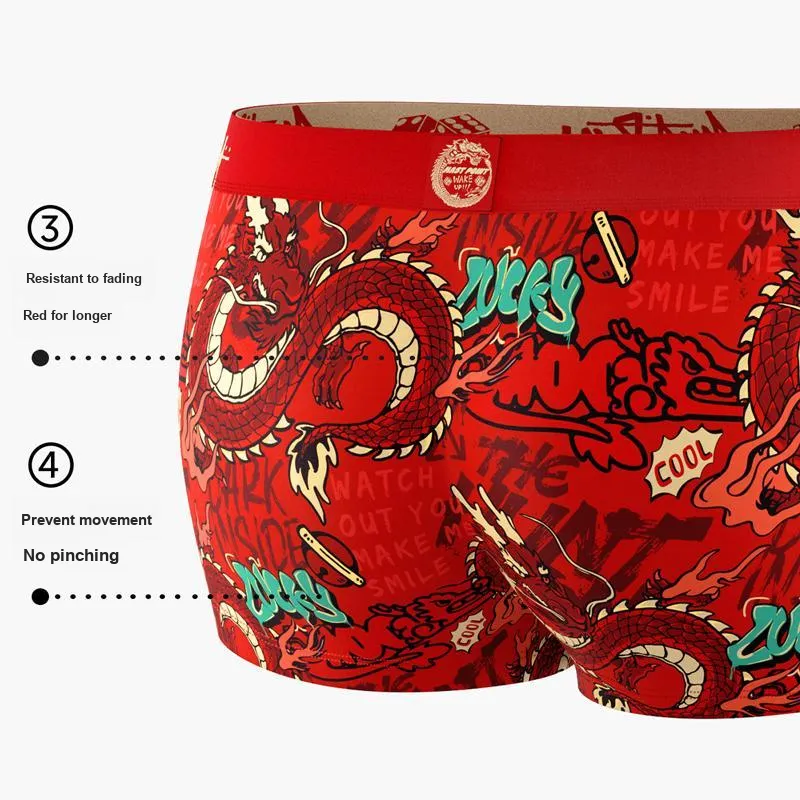Mast Point Year Of The Dragon Series Underpants Men's-6