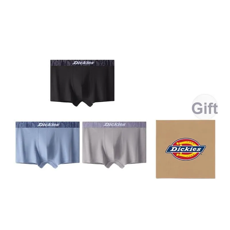 Dickies Underpants Men's Box 3 Pack-45