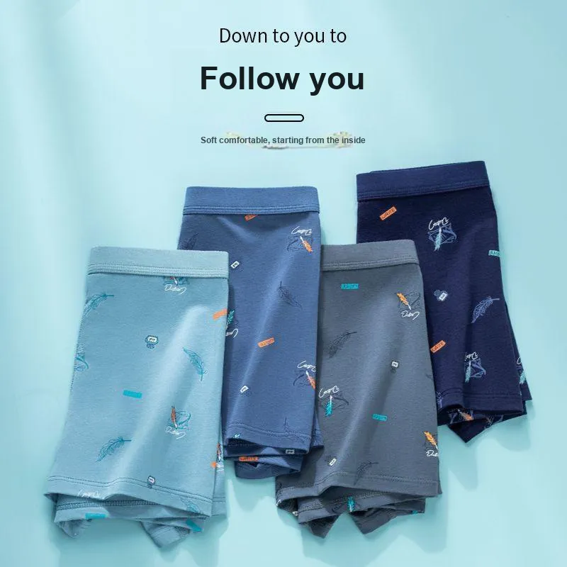 XISHE Underpants Men's Combo Set-2