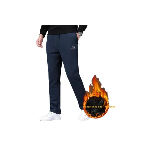 JEEP SPIRIT Мужские Повседневные Брюки