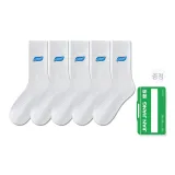 화이트 5