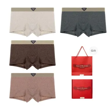 Maiden House Underwear Gift Box Men's 4 Pack