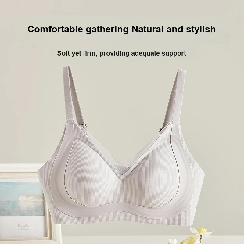 David Women's Bras-7