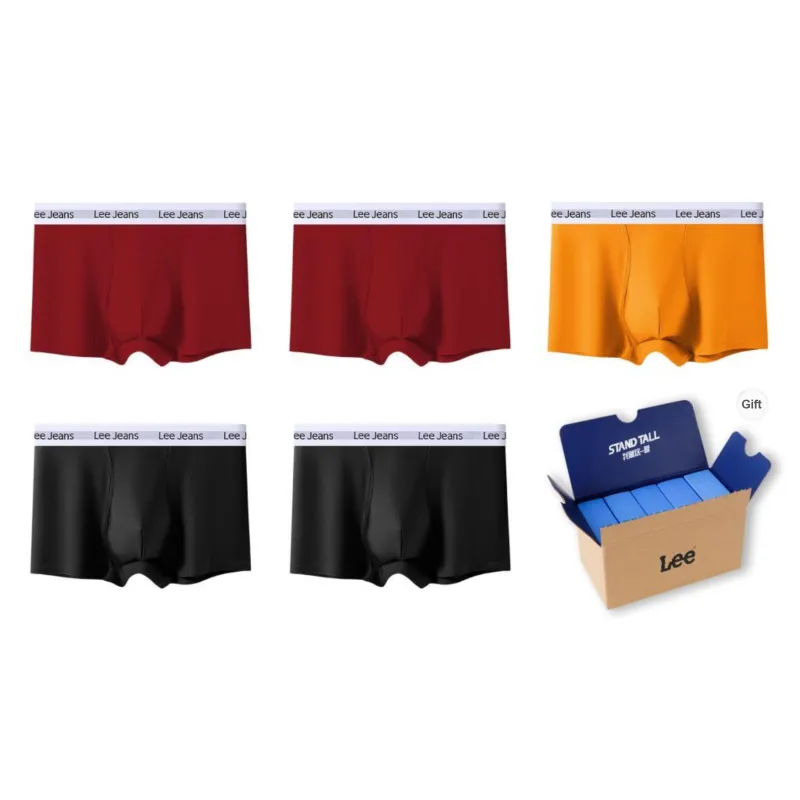 Lee Underpants Men's 5 Pack Gift Box Set-45