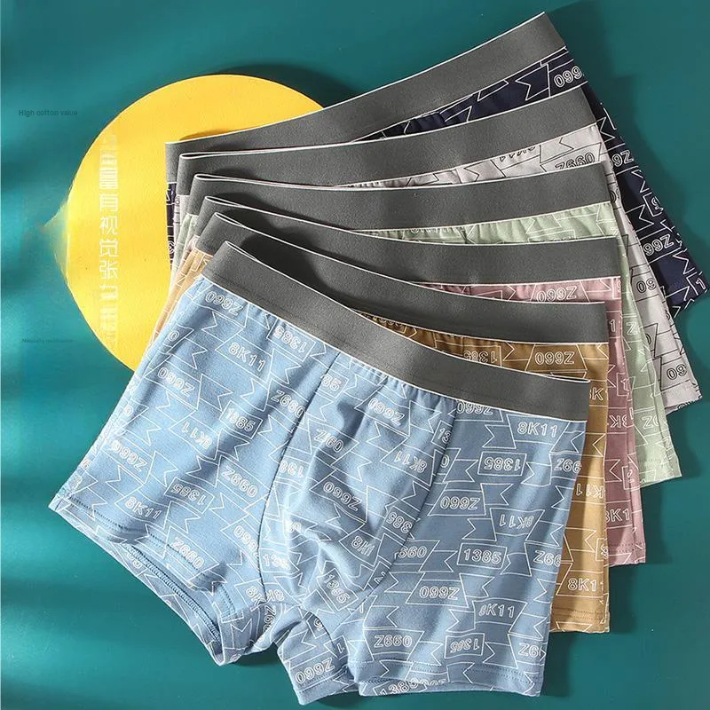 Lan Miao Underpants Men's 3 Pack-10