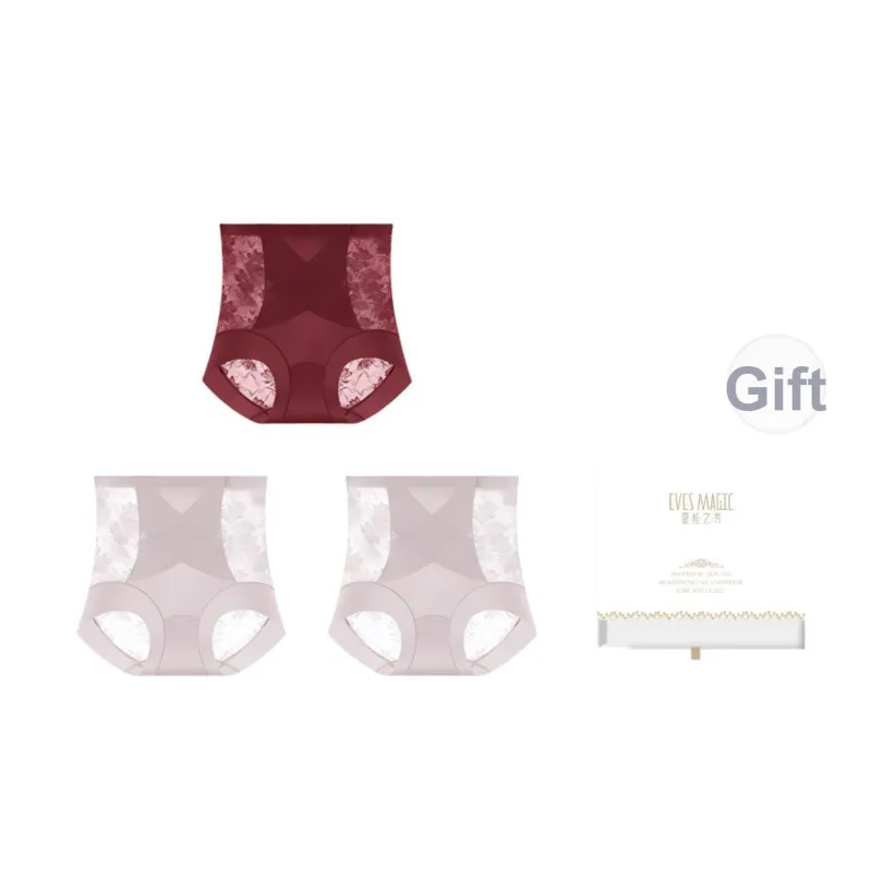 XIA.WA.ZHI.XIU Underpants Women's Box 3 Pack-3