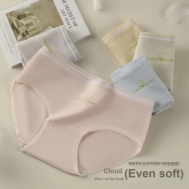 Lan Miao Underpants Women's Combo Set-2