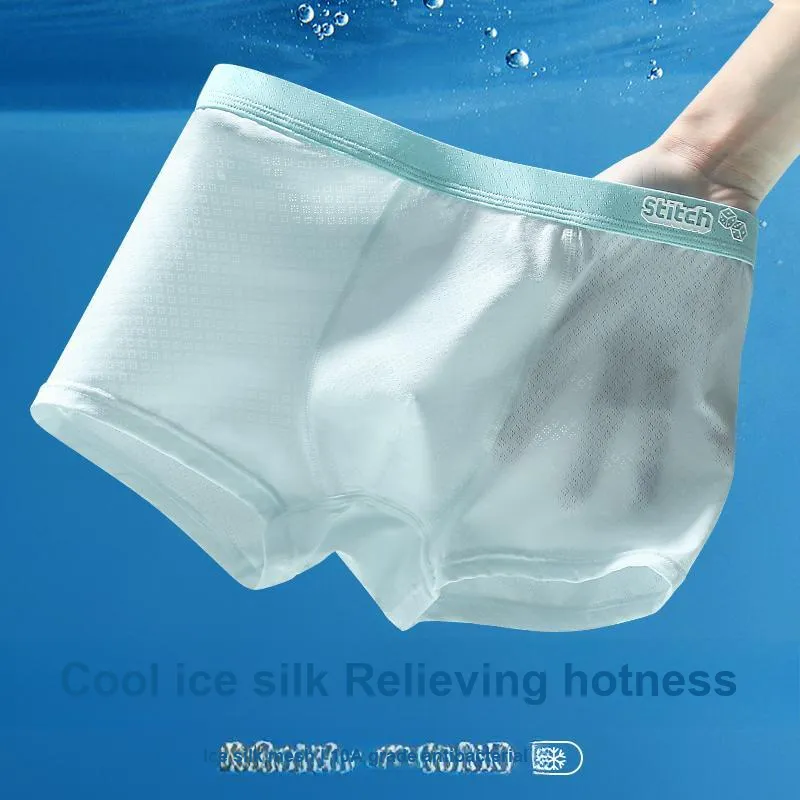 Herbal Primer Underpants Men's 4 Pack Mixed Color-6