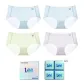 Primrose Green+Bubble Blue+Light Purple+Bubble Blue