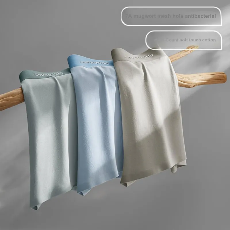 Clarkarida Underpants Men's Box 3 Pack-3