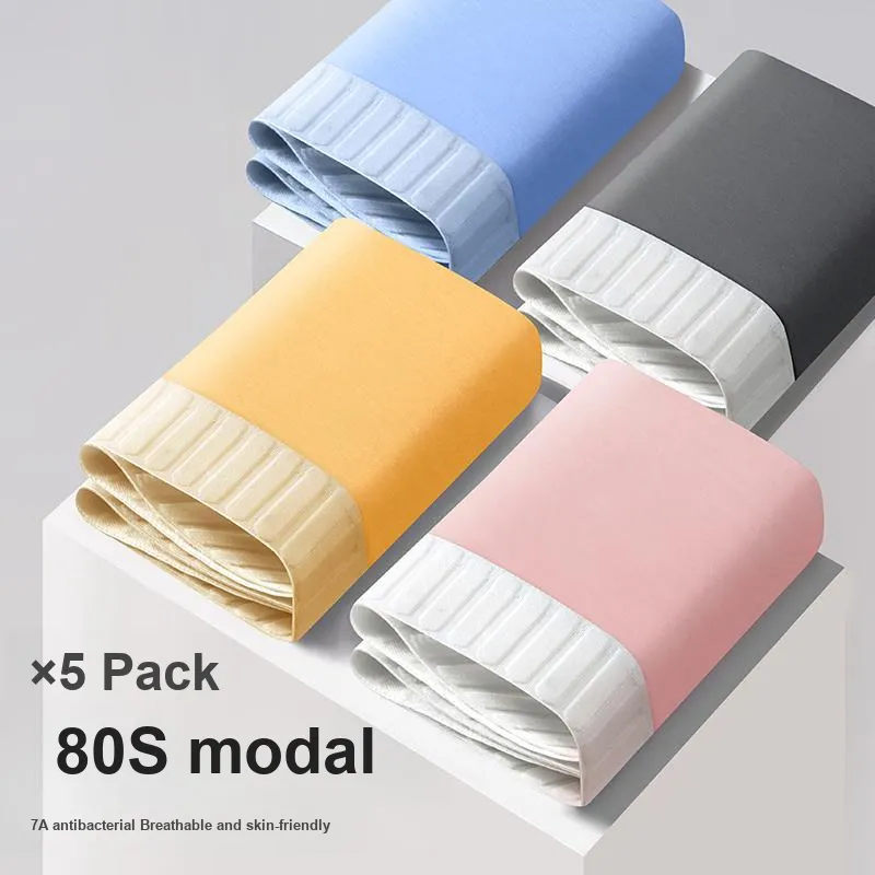 Lee Underpants Men's Box 5-Pack-2