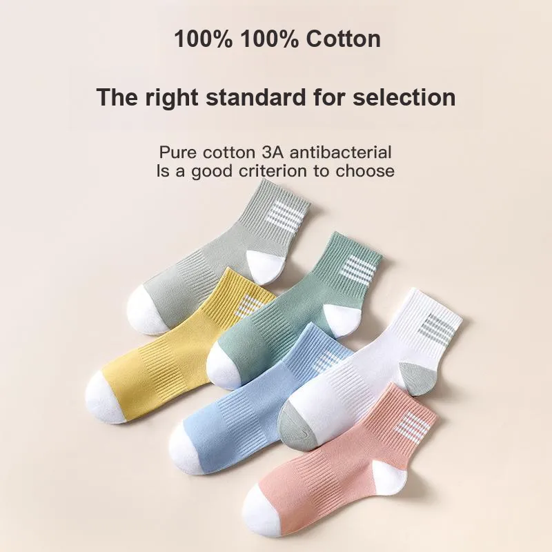 Lanza Mid Calf Socks Women's 6 Pack Morandi Color Palette-1