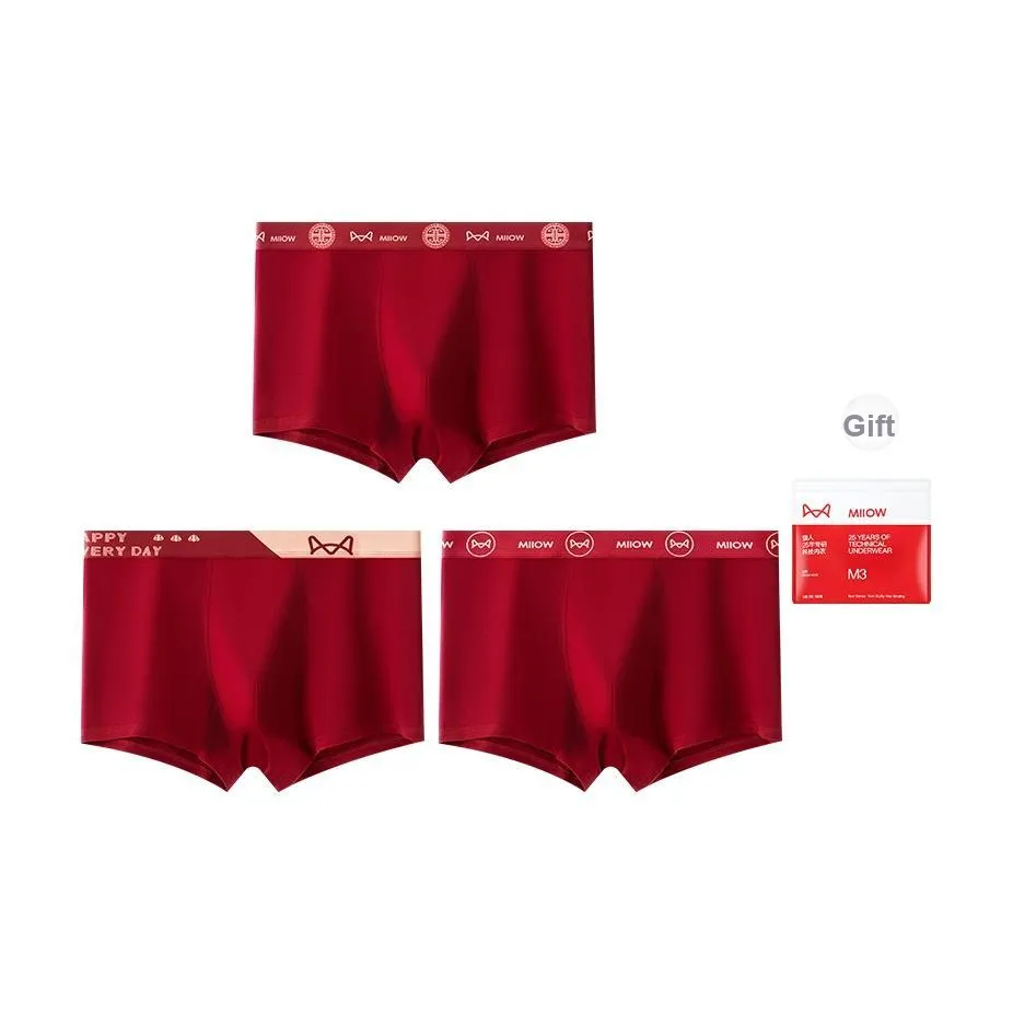MIIOW Underpants Men's Shopping Bag 3 Pack