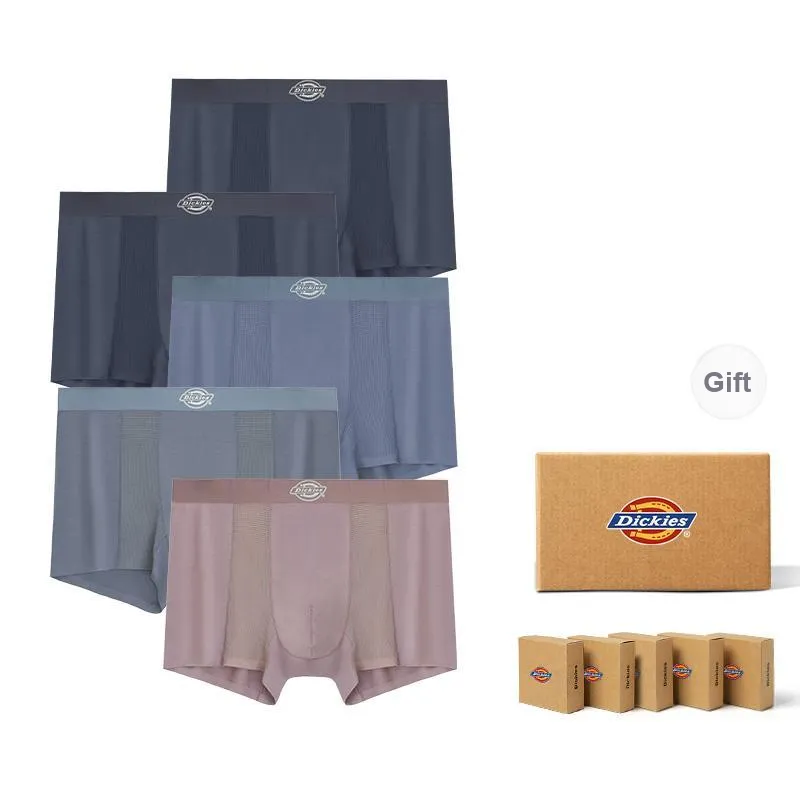 Dickies Underpants Men's Skin Friendly Minimalist Style Comfortable Modal Boxer Shorts Box Combo Set-19