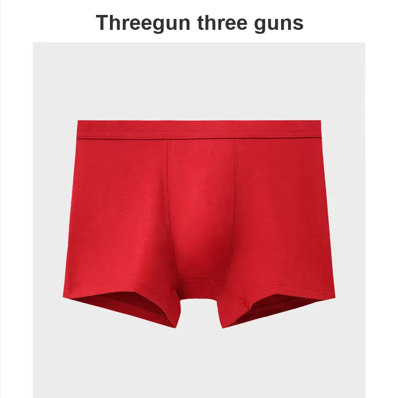 THREEGUN Underpants Men's 2 Pack-14