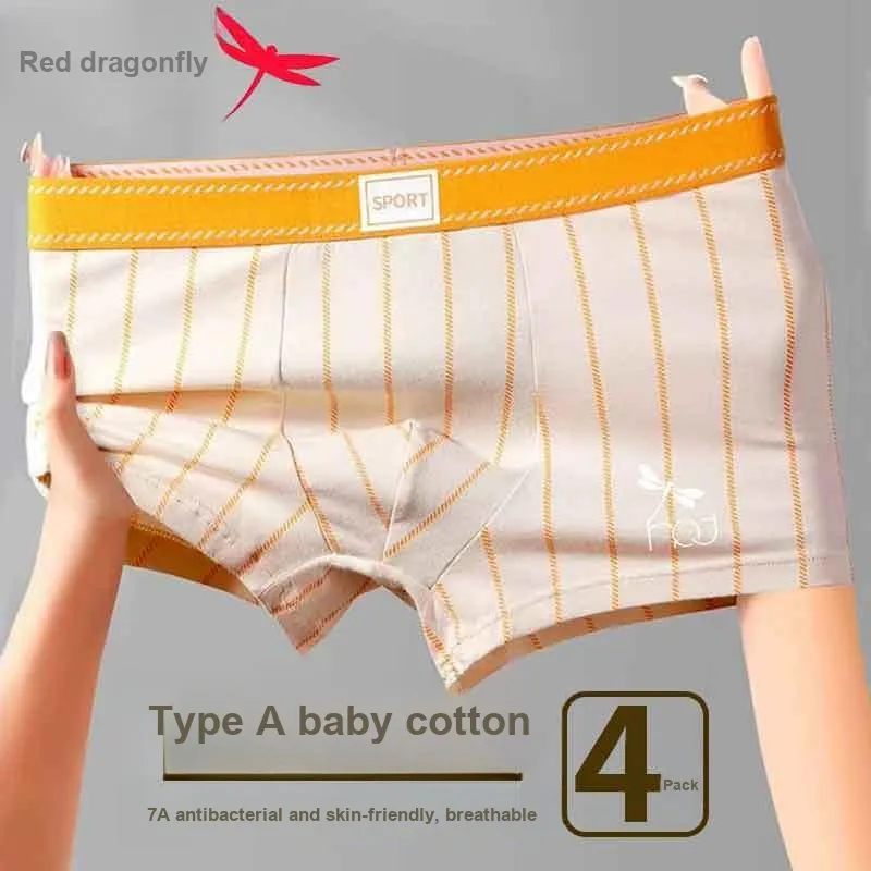 RED DRAGONFLY Cotton Panties Men's 4 Pack Gift Box Set-4